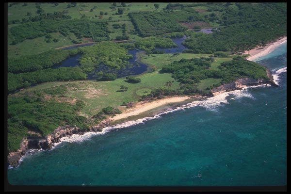 068023 White Sand Beach Near Pointe Des Chateaux Guadeloupe A4 Photo Print