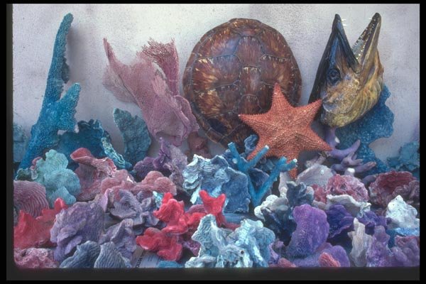 068032 Coral And Shells, Straw Market Bay St., City Of Nassau A4 Photo Print