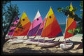 068050 Windsails On The Sand Negril, Jamaica A4 Photo Print