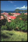 068086 Overlooking Port Town Terre de Haut, Off Guadeloupe A4 Photo Print