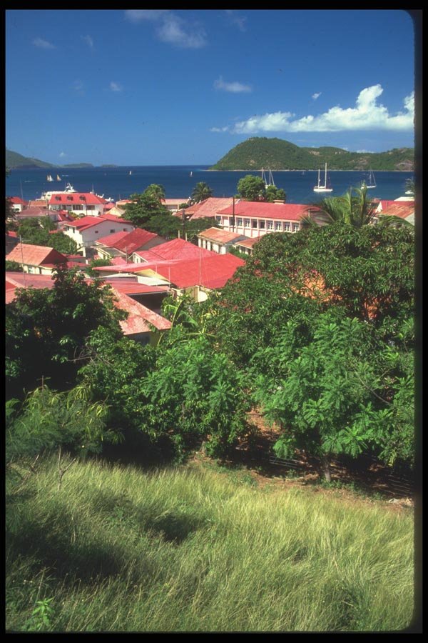 068086 Overlooking Port Town Terre de Haut, Off Guadeloupe A4 Photo Print