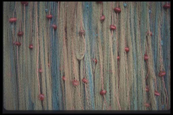 068092 Fishing Nets Drying Sainte Luce, Martinique A4 Photo Print