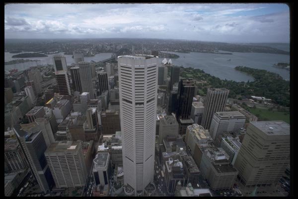 069006 View North From Centrepoint Tower Sydney, New South Wales A4 Photo Print