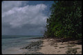 069030 Beach Green Island, Queensland A4 Photo Print