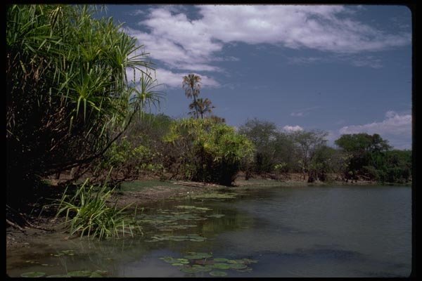 069043 Yellow Waters Billabong Kakadu National Park A4 Photo Print