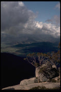 069067 Mt. Buffalo Victoria A4 Photo Print