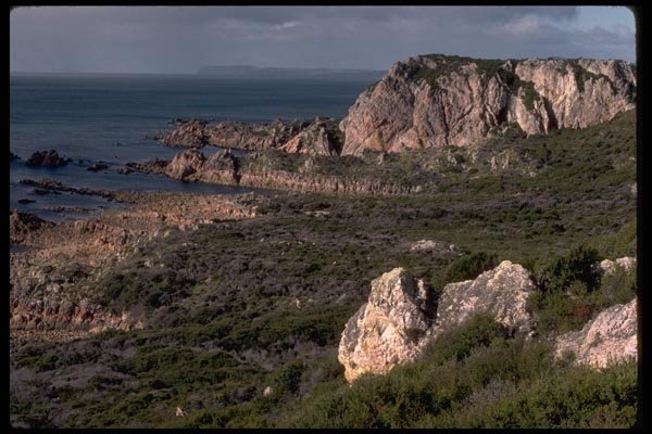 069088 Cliffs Tasmania A4 Photo Print