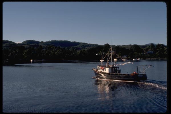 069092 MacQuarie Harbor Tasmania A4 Photo Print