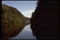 069098 The Gordon River Tasmania A4 Photo Print