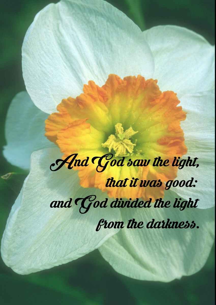 But godliness with contentment is great gain A4 photo print 