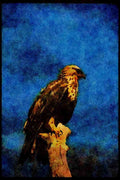 070032 Rough Legged Hawk On Hunting Perch A4 Limited Edition Watercolour Print