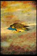 070036 Peregrine Falcon Over Pigeon A4 Limited Edition Watercolour Print