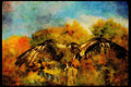 070053 Osprey Landing On Perch A4 Limited Edition Watercolour Print