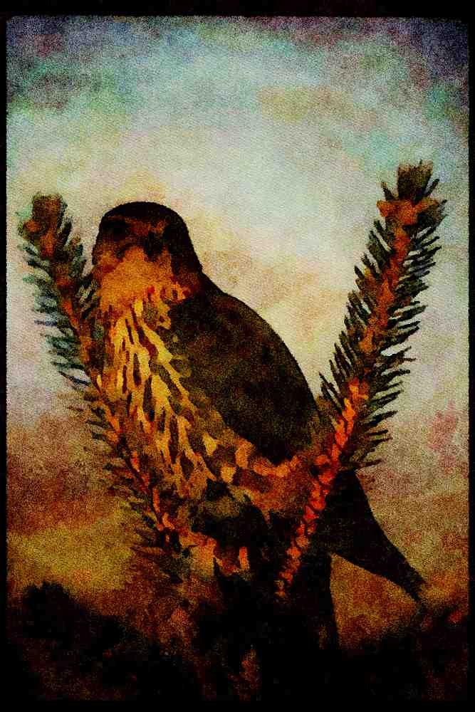 070099 Merlin With Prey At Twilight A4 Limited Edition Watercolour Print