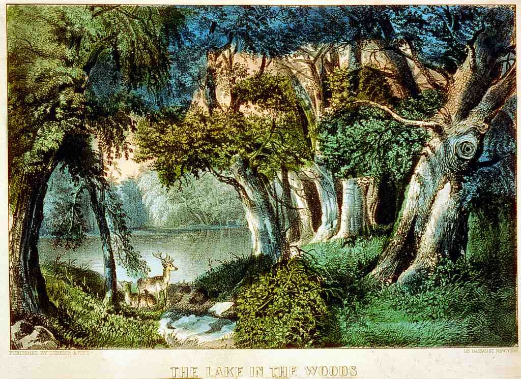 071 Lakein Woods Vintage A4 Photo Print