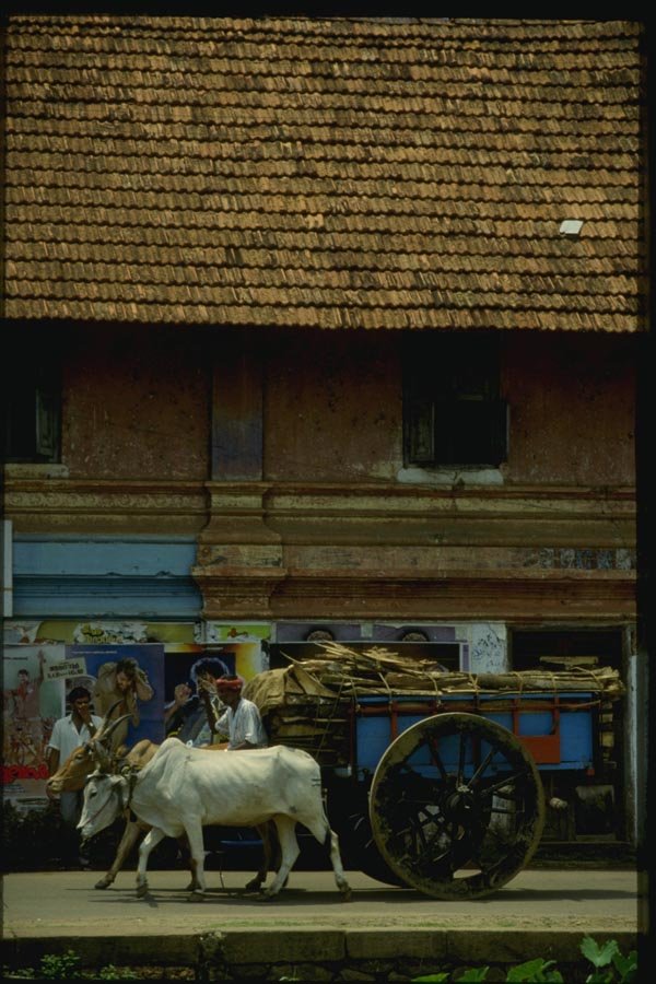 071018 Bullock And Cart, Kottayam, Kerala A4 Photo Print