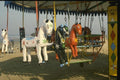 071052 Merry go round, Seaside, Bombay A4 Photo Print