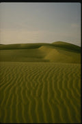 071060 Sam Sand Dunes, Thar Desert, Rajasthan A4 Photo Print
