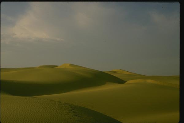 071061 Sam Sand Dunes, Thar Desert, Rajasthan A4 Photo Print