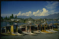 071065 Shikaras, Dal Lake, Srinagar, Kashmir A4 Photo Print
