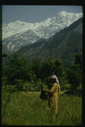 071070 Hindu Woman Harvests Crops, Himalavan Foothills A4 Photo Print
