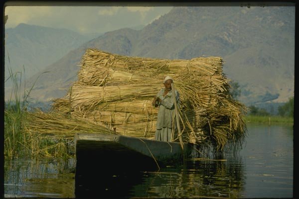 071099 Boatload Of Crops, Dal Lake, Srinagar, Kashmir A4 Photo Print