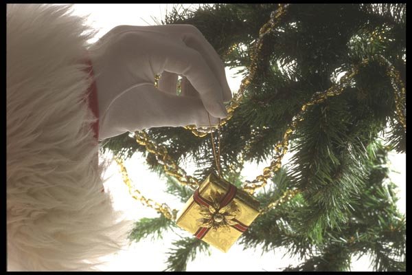 072007 Placing An Ornament A4 Photo Print