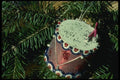 072041 Drum Ornament A4 Photo Print