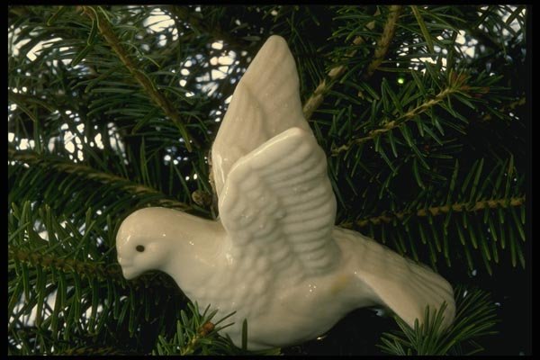 072042 Dove Ornament A4 Photo Print