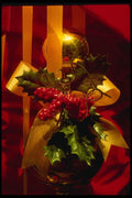 072044 Mistletoe A4 Photo Print