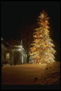072055 Decorated Tree A4 Photo Print