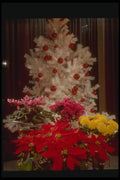 072058 Christmas Flower Arrangement A4 Photo Print