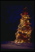 072065 Decorated Tree A4 Photo Print