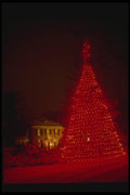 072066 Decorated Tree A4 Photo Print