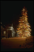 072068 Decorated Tree A4 Photo Print