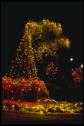 072069 Decorated Trees A4 Photo Print