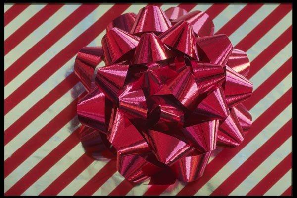 072094 Christmas Bow A4 Photo Print