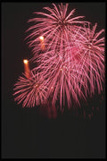 073001 Pink Spray A4 Photo Print