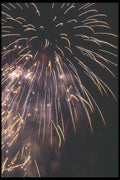 073005 White Spray A4 Photo Print