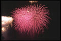 073031 Fuchsia Flame A4 Photo Print