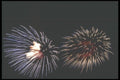 073037 Bing And Bang A4 Photo Print