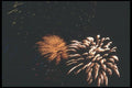 073038 Streamers A4 Photo Print
