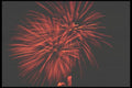073040 Pink Bursts A4 Photo Print
