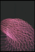 073048 Fuchsia Pan A4 Photo Print