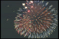 073050 Zigs A4 Photo Print