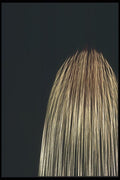 073052 Comet A4 Photo Print