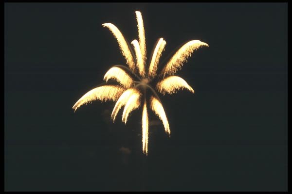 073053 Single Burst A4 Photo Print