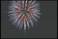 073056 Stars And Stripes A4 Photo Print