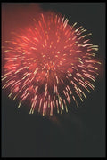 073057 Red Puff A4 Photo Print