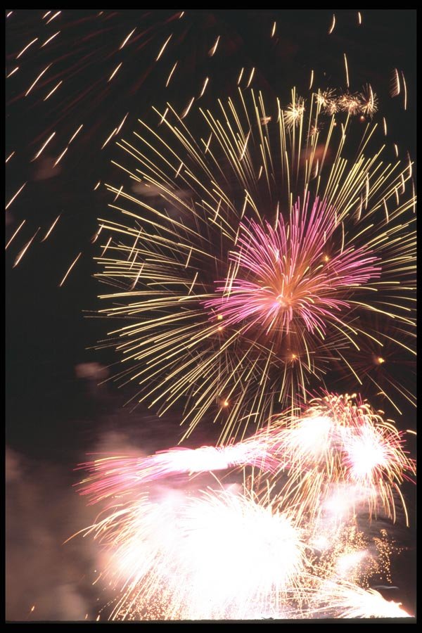 073076 Blast Of Pink A4 Photo Print
